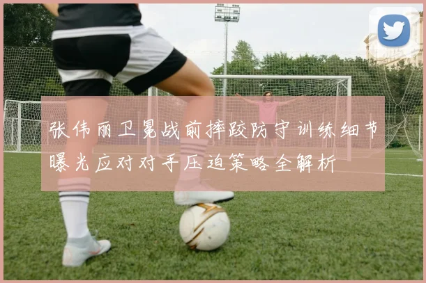 张伟丽卫冕战前摔跤防守训练细节曝光应对对手压迫策略全解析